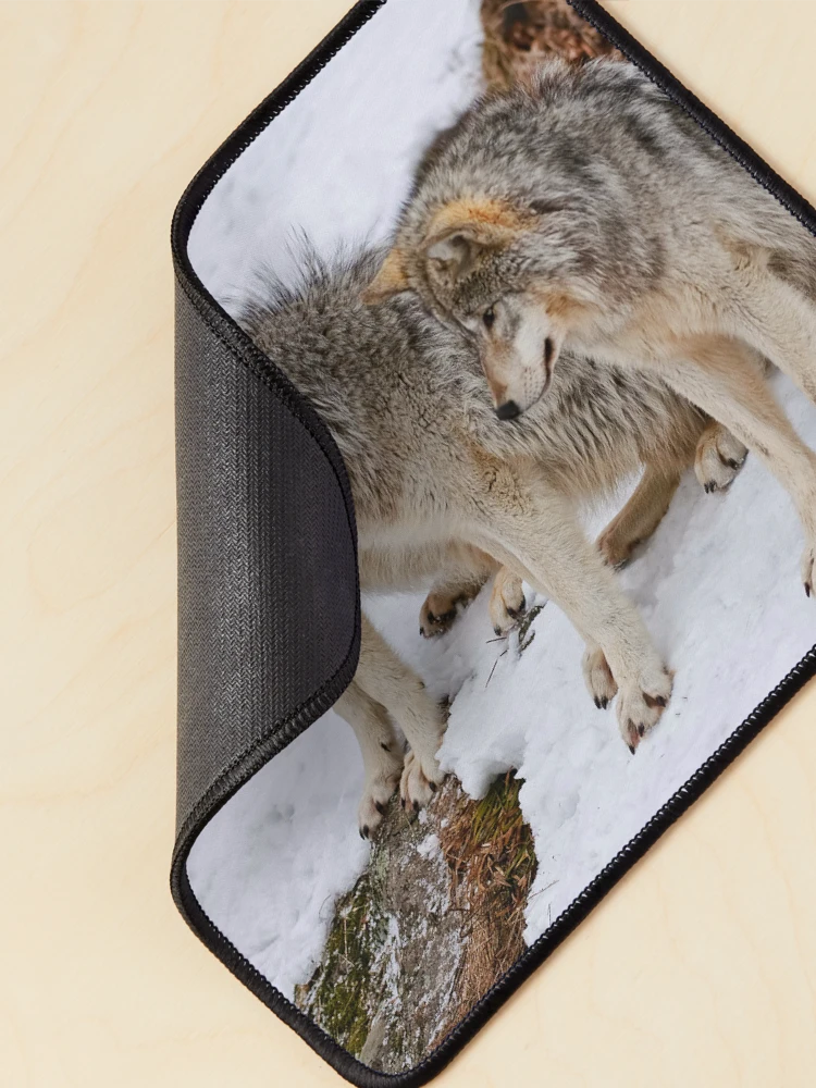 Thumbnail 2 of 5, Mouse Pad, Timber Wolves designed and sold by WolvesOnly.