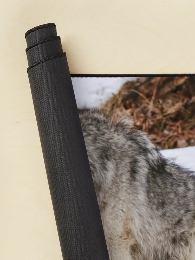 Thumbnail 2 of 5, Mouse Pad, Timber Wolves designed and sold by WolvesOnly.