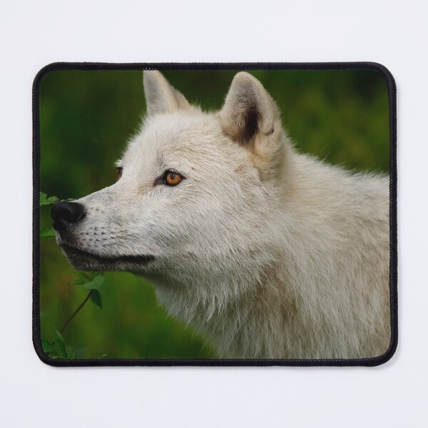 Item preview, Arctic Wolf designed and sold by WolvesOnly.