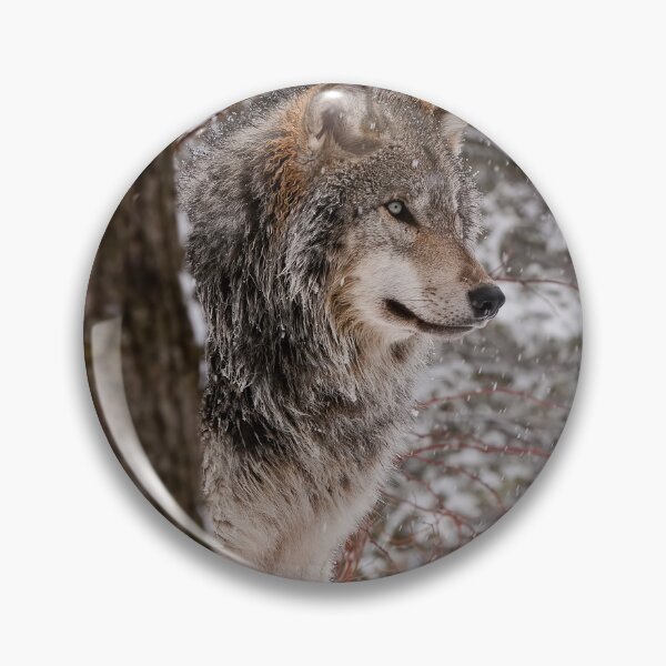 Item preview, Timber Wolf designed and sold by WolvesOnly.