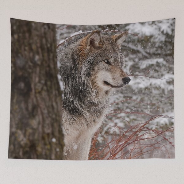 Item preview, Timber Wolf designed and sold by WolvesOnly.