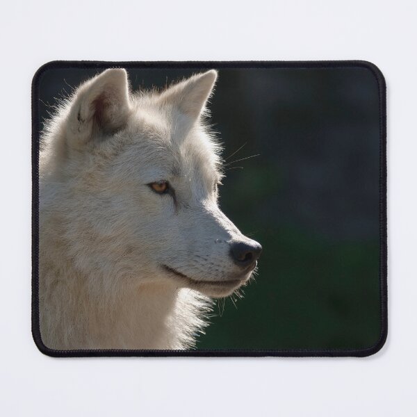 Item preview, Arctic Wolf designed and sold by WolvesOnly.