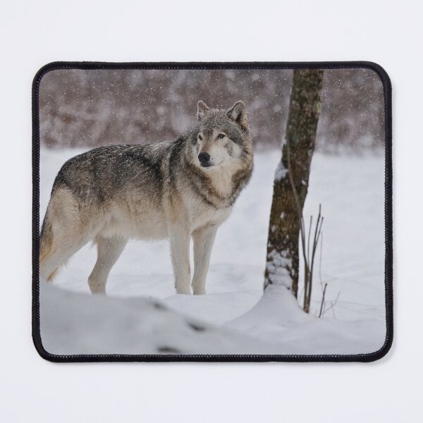 Item preview, Timber Wolf designed and sold by WolvesOnly.