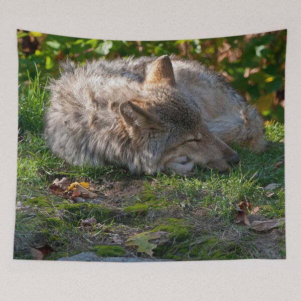 Item preview, Taking A Nap designed and sold by WolvesOnly.
