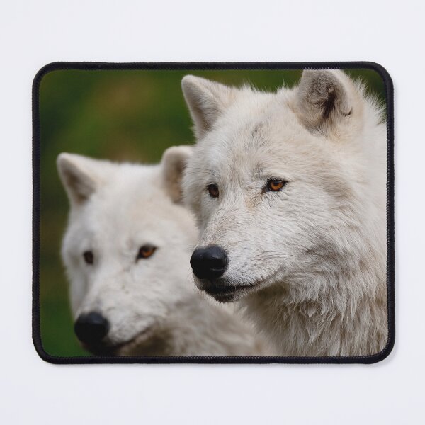 Item preview, Arctic Wolves designed and sold by WolvesOnly.