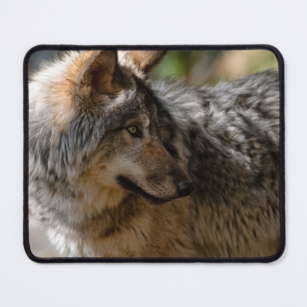 Item preview, Timber Wolf designed and sold by WolvesOnly.
