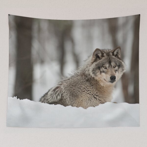 Artikelvorschau, Timber Wolf entworfen und verkauft von WolvesOnly.