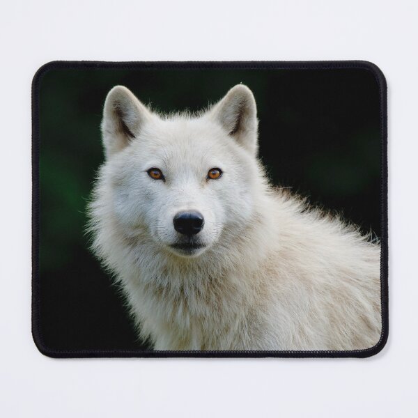 Item preview, Arctic Wolf designed and sold by WolvesOnly.