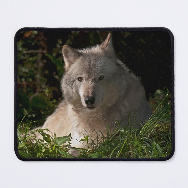 Artikelvorschau, Timber Wolf entworfen und verkauft von WolvesOnly.