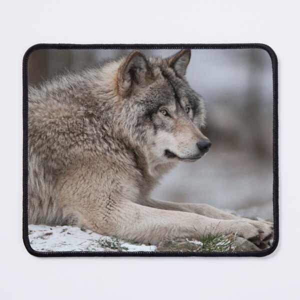 Item preview, Timber Wolf designed and sold by WolvesOnly.