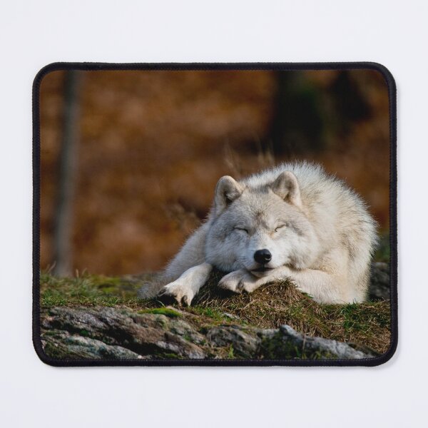 Item preview, Arctic Wolf designed and sold by WolvesOnly.
