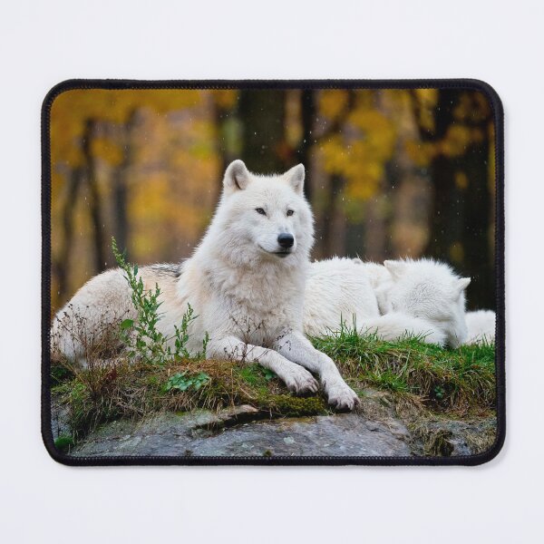 Item preview, Arctic Wolf designed and sold by WolvesOnly.
