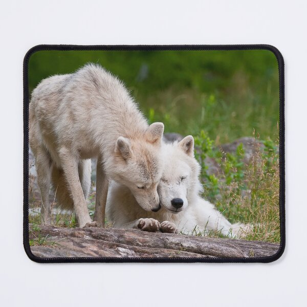 Item preview, Arctic Wolves designed and sold by WolvesOnly.