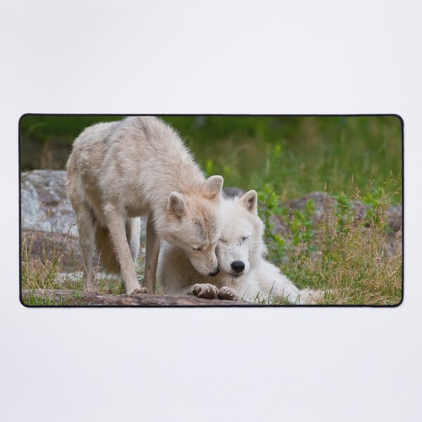 Item preview, Arctic Wolves designed and sold by WolvesOnly.
