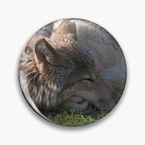 Artikelvorschau, Sleeping Timber Wolf entworfen und verkauft von WolvesOnly.