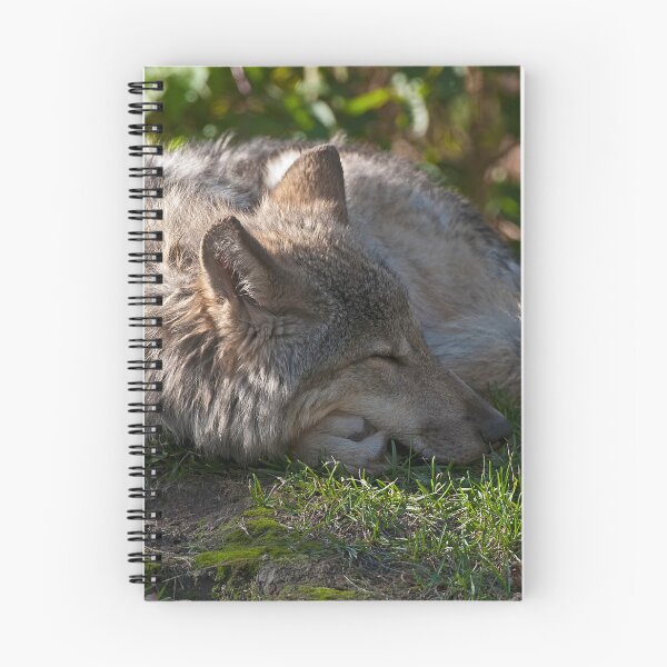 Artikelvorschau, Sleeping Timber Wolf entworfen und verkauft von WolvesOnly.