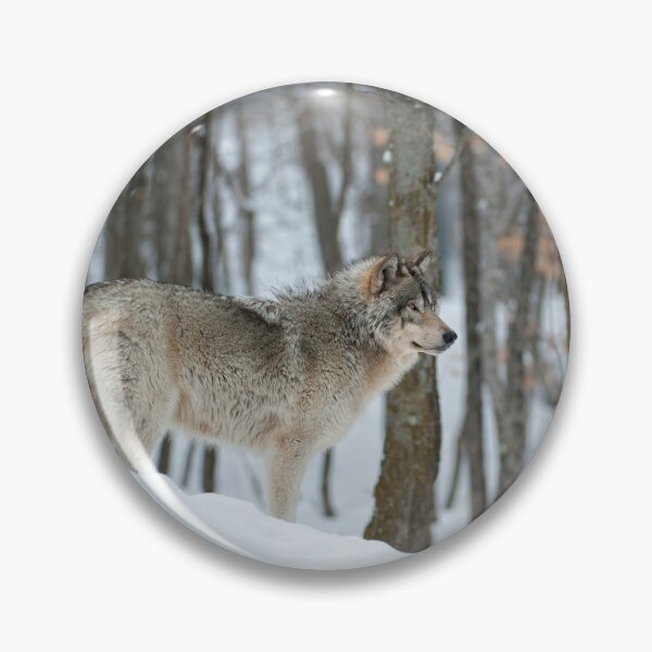 Item preview, Timber Wolf designed and sold by WolvesOnly.