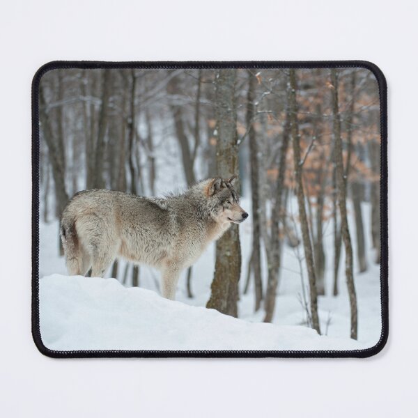 Item preview, Timber Wolf designed and sold by WolvesOnly.