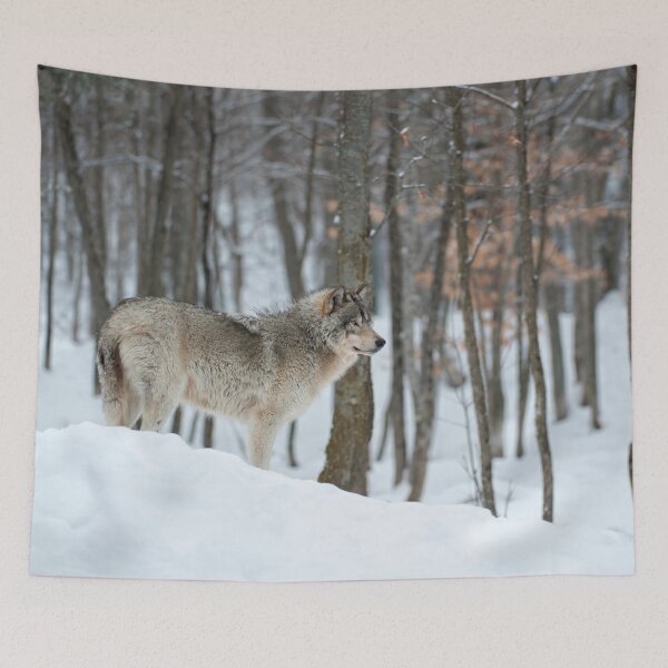 Item preview, Timber Wolf designed and sold by WolvesOnly.