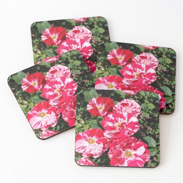 Item preview, Love is colorful like this rose designed and sold by Raigitam.