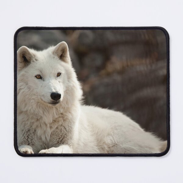 Item preview, Arctic Wolf designed and sold by WolvesOnly.