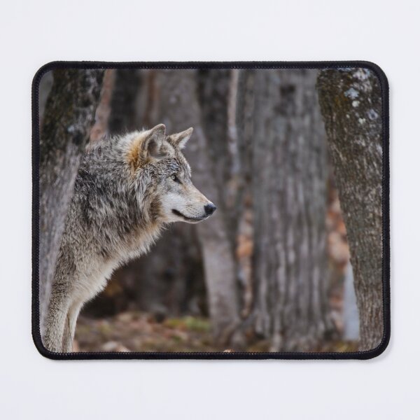 Artikelvorschau, Timber Wolf entworfen und verkauft von WolvesOnly.