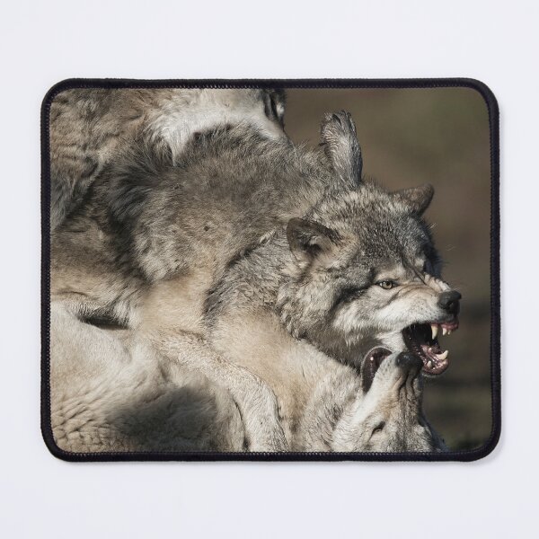 Item preview, Timber Wolves designed and sold by WolvesOnly.