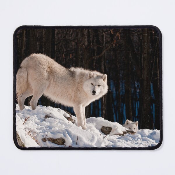 Item preview, Arctic Wolf designed and sold by WolvesOnly.