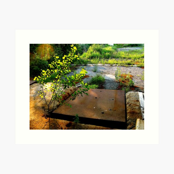 FreeLoading Art Print