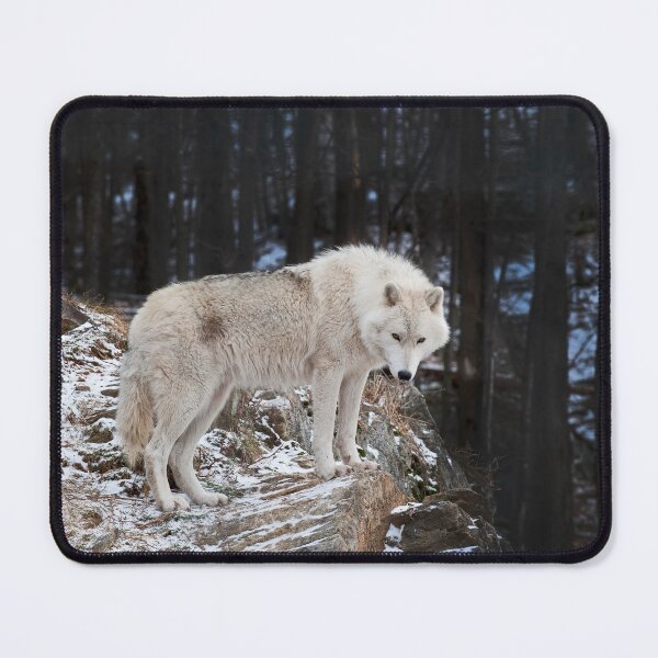 Item preview, Arctic Wolf designed and sold by WolvesOnly.