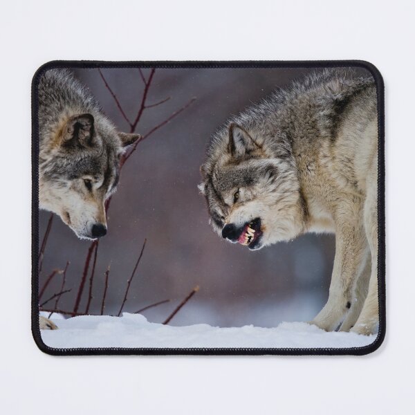 Item preview, Timber Wolves designed and sold by WolvesOnly.
