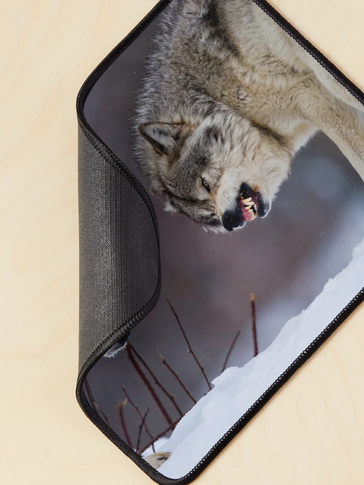 Thumbnail 2 of 5, Mouse Pad, Timber Wolves designed and sold by WolvesOnly.