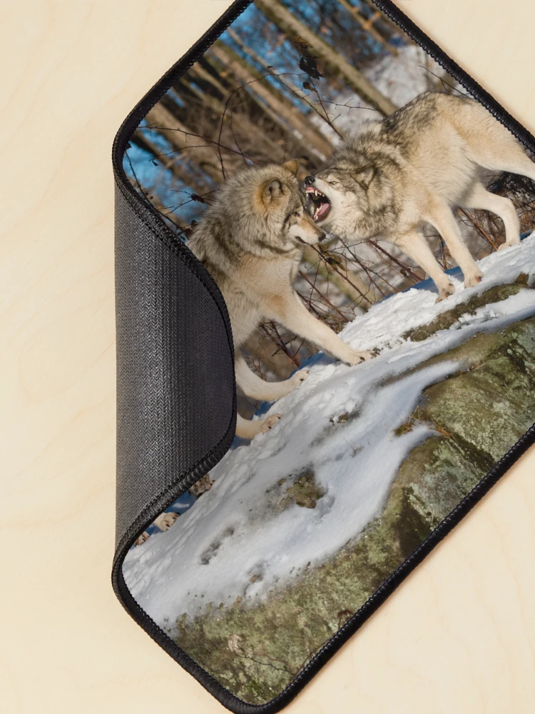 Thumbnail 2 of 5, Mouse Pad, Timber Wolves designed and sold by WolvesOnly.