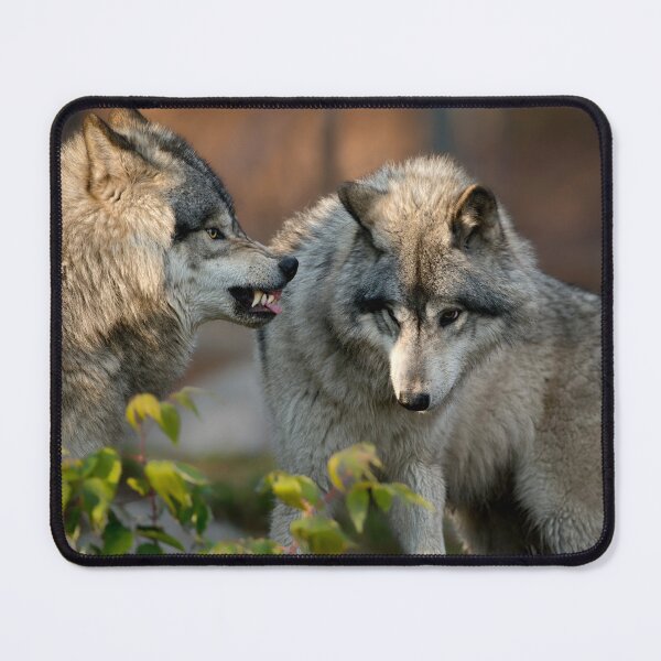 Item preview, Boy, You In Trouble Now! designed and sold by WolvesOnly.