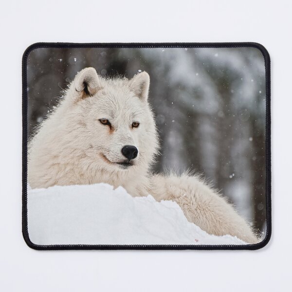 Item preview, Arctic Wolf designed and sold by WolvesOnly.