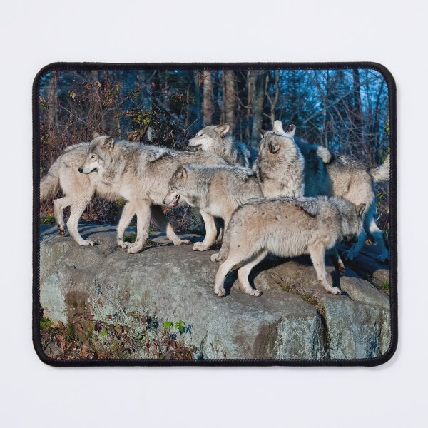Item preview, Timber Wolves  designed and sold by WolvesOnly.