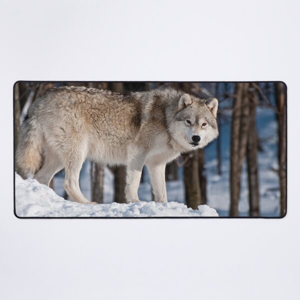 Item preview, Arctic Wolf designed and sold by WolvesOnly.