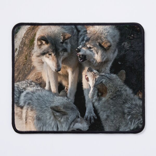 Item preview, Timber Wolves designed and sold by WolvesOnly.