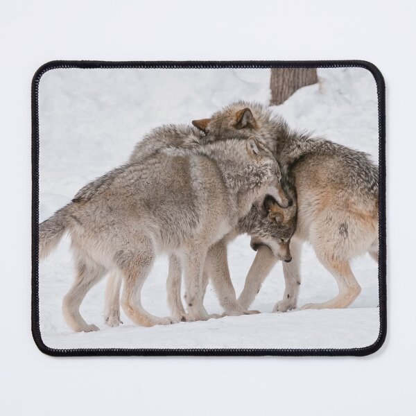 Item preview, Timber Wolves designed and sold by WolvesOnly.
