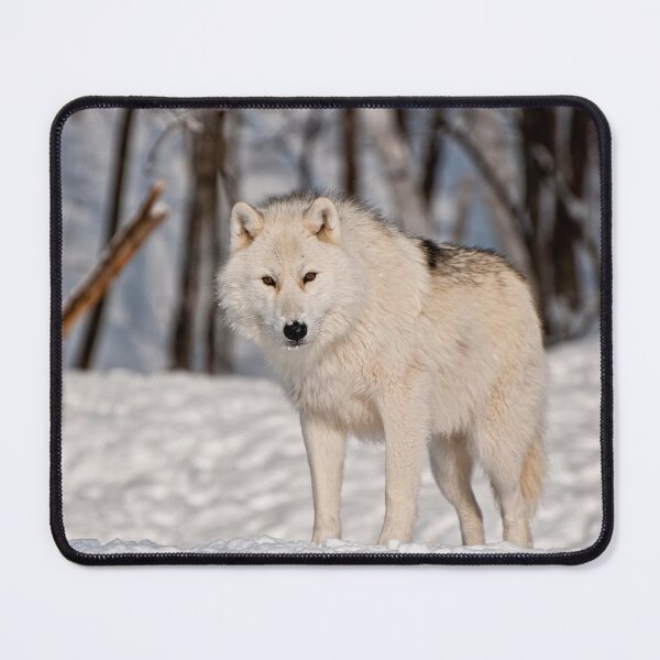 Item preview, Arctic Wolf designed and sold by WolvesOnly.