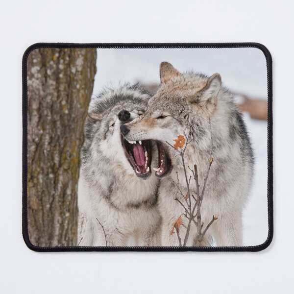 Item preview, Timber Wolves designed and sold by WolvesOnly.