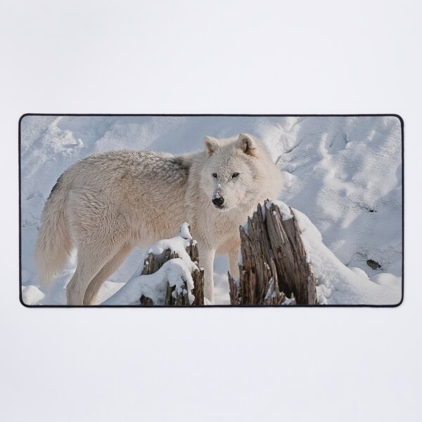 Item preview, Arctic Wolf designed and sold by WolvesOnly.