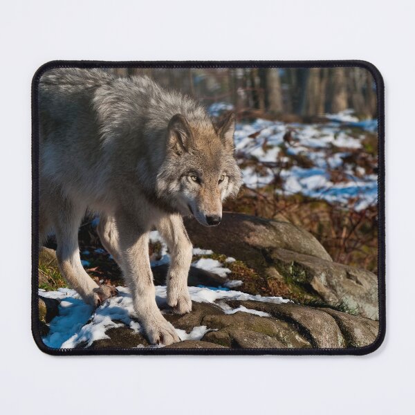 Item preview, Timber Wolf designed and sold by WolvesOnly.