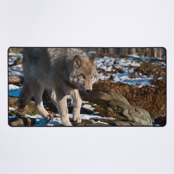 Item preview, Timber Wolf designed and sold by WolvesOnly.