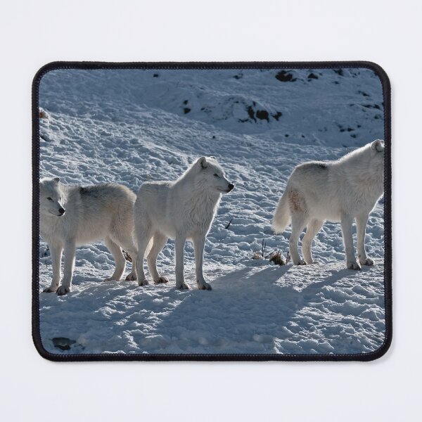 Item preview, Arctic Wolves In Early Morning designed and sold by WolvesOnly.