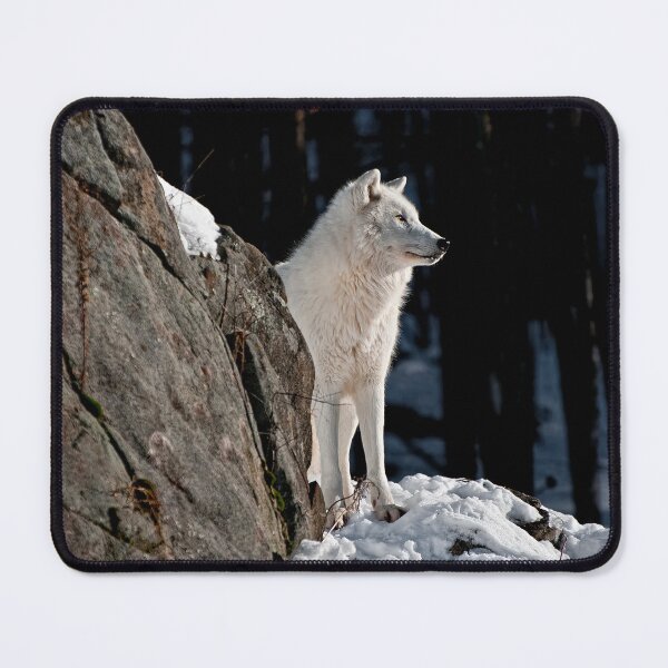 Item preview, Arctic Wolf designed and sold by WolvesOnly.