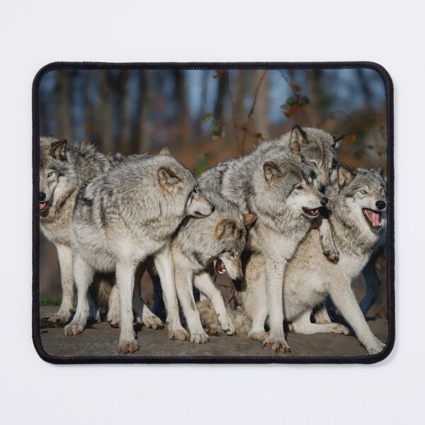 Item preview, The Gang designed and sold by WolvesOnly.