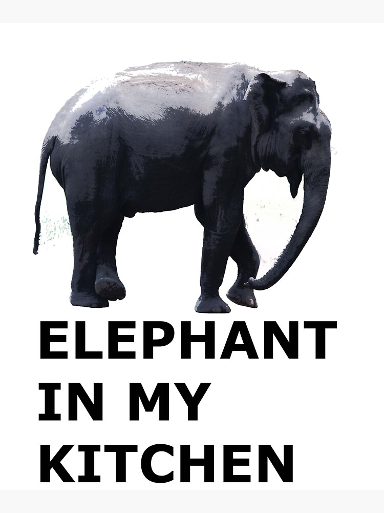 "elephant in my kitchen" Sticker for Sale by Rioteni Redbubble
