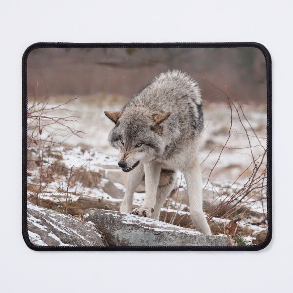 Artikelvorschau, If Looks Could Kill entworfen und verkauft von WolvesOnly.