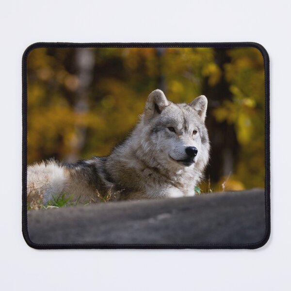 Artikelvorschau, Chilaxing entworfen und verkauft von WolvesOnly.